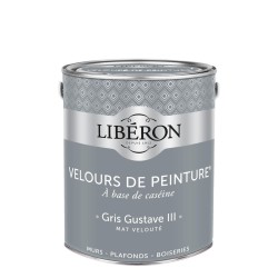 VELOURS DE PEINTURE GRIS...