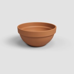 COUPE AMALIA CAMPANA...