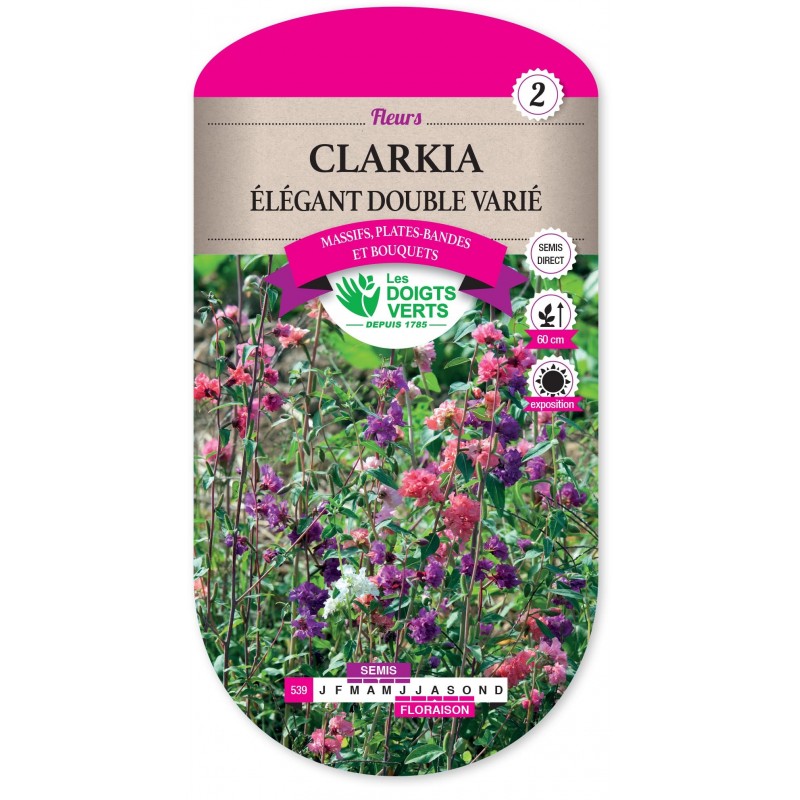 CLARKIA ELEGANT DOUBLE VARIE cat2