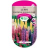 LUPIN POLYPHYLLE DE RUSSEL VARIE cat2
