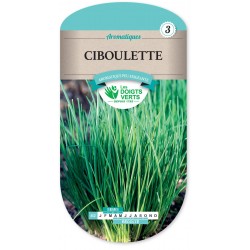 CIBOULETTE cat3