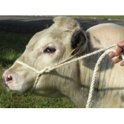 LONGE MIXTE SISAL PP