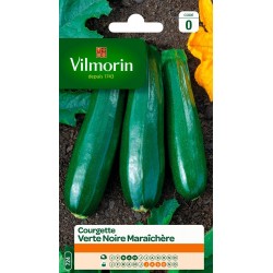 COURGETTE VERTE NOIRE...