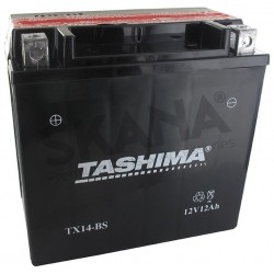 BATTERIE YTX14 BS