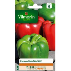 POIVRON YOLO WONDER - VILMORIN