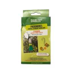 RECHARGE PHÉROMONES...