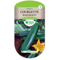 COURGETTE BLACK BEAUTY V MILAN cat1