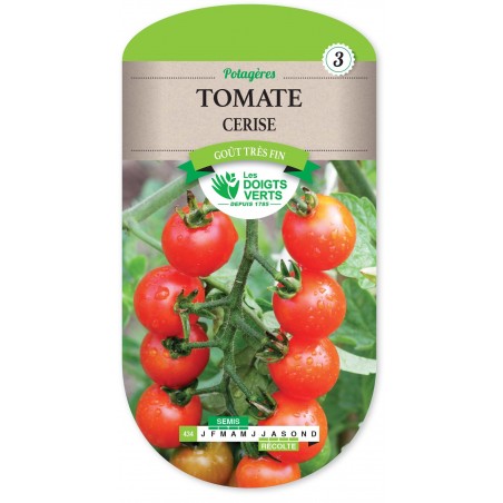 TOMATE CERISE CHERRY SMALL cat3