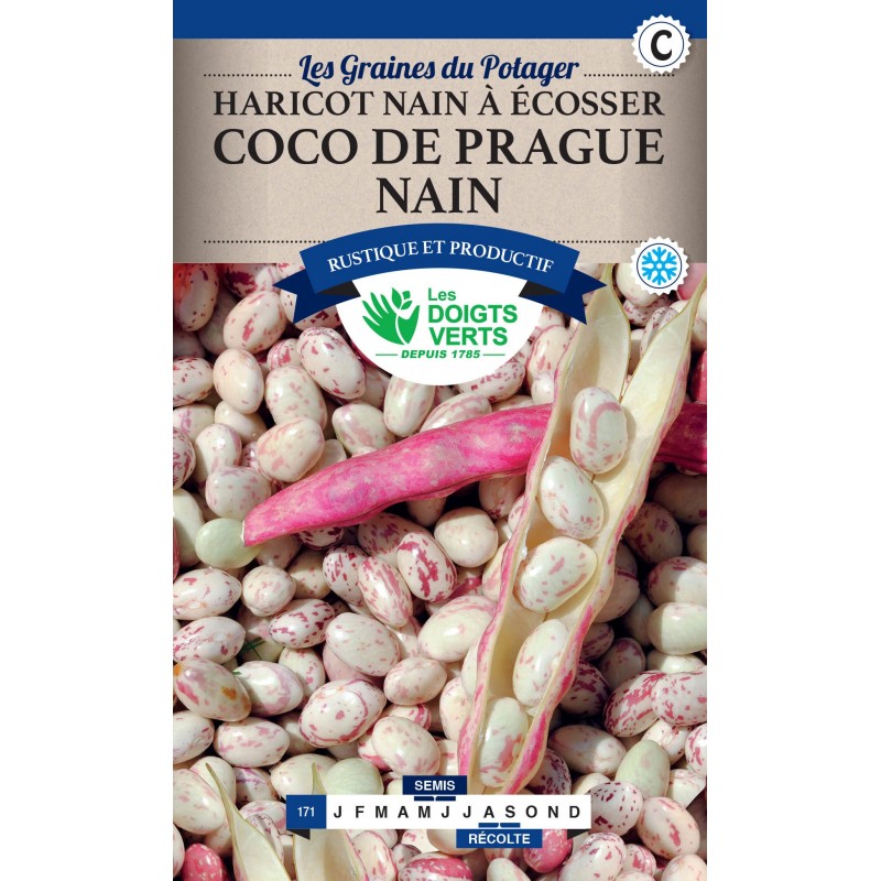 HARICOT NAIN À ÉCOSSER COCO DE PRAGUE NAIN 250G