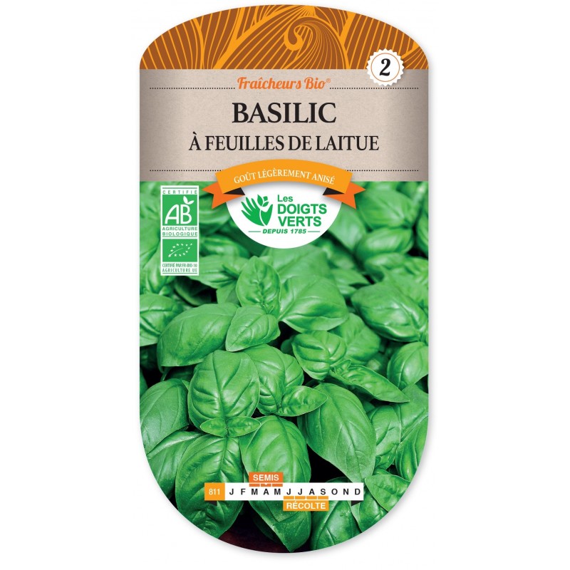 BASILIC A FEUILLES DE LAITUE cat2