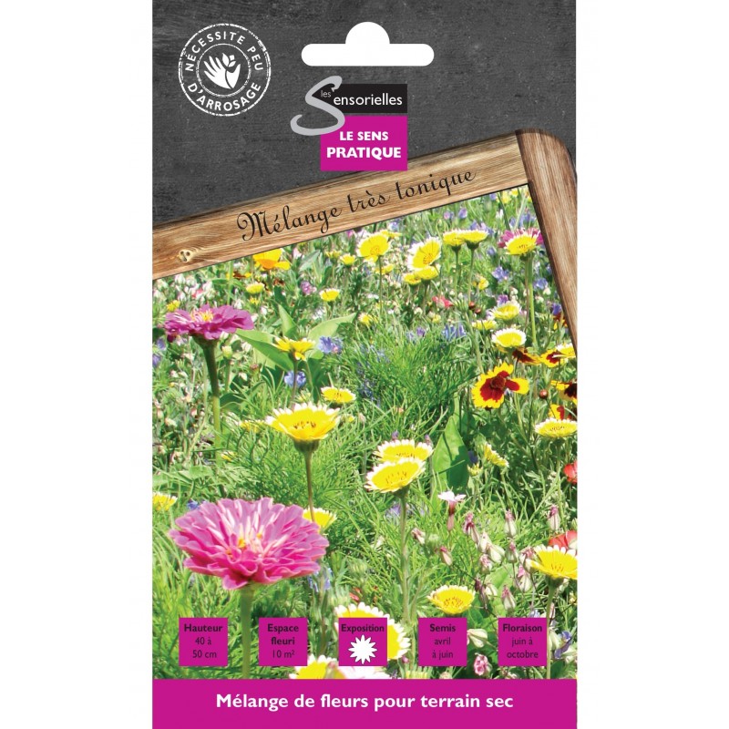 MELANGE DE FLEURS POUR TERRAIN SEC cat2