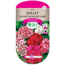 OEILLET DES POETES DBLE VARIE cat2
