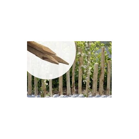 GANIVELLE 100CM 4/5 5ML GANIVELLE 100CM 4/5 5ML