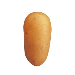 SAC POMMES DE TERRE...