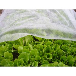 VOILE DE CROISSANCE 2X5M