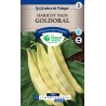 HARICOT NAIN GOLDORAL