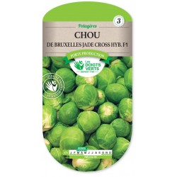 CHOU DE BRUXELLES JADE CROSS HYBRIDE F1 cat3