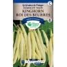 HARICOT NAIN KINGHORN ROI DES BEURRES cat3