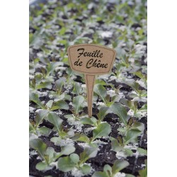 ÉTIQUETTES A PLANTER...