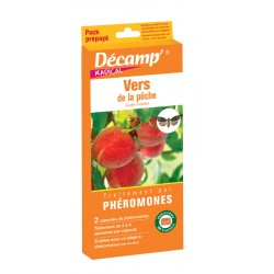 VER DE LA PÊCHE PACK...