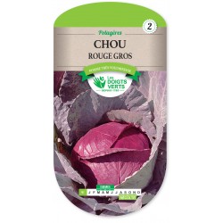 CHOU ROUGE GROS - CATÉGORIE...