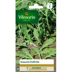 ROQUETTE CULTIVÉE - VILMORIN