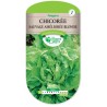CHICOREE SAUVAGE BLONDE AMELIO cat1