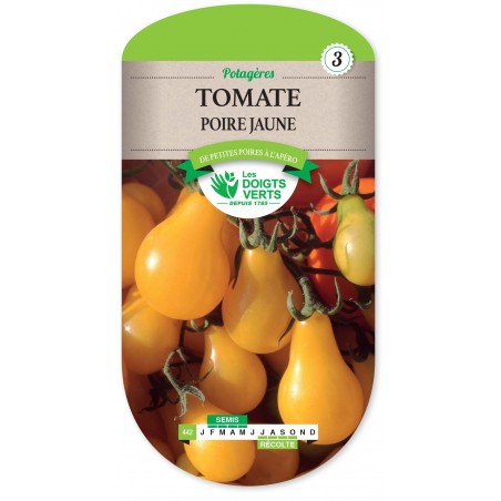 TOMATE POIRE JAUNE YELLOW PEAR CAT3