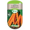 CAROTTE ROMANCE HYB.F1