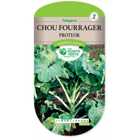 CHOU FOURRAGER PROTEOR 100G