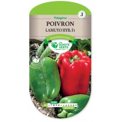 POIVRON LAMUYO HYBRIDE F1 cat3
