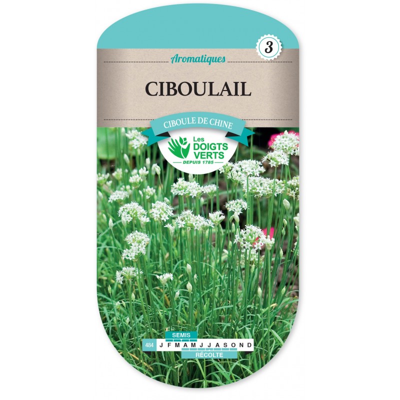 CIBOULAIL CAT3