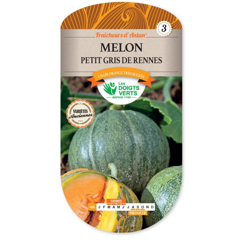 MELON PETIT GRIS DE RENNES CAT3