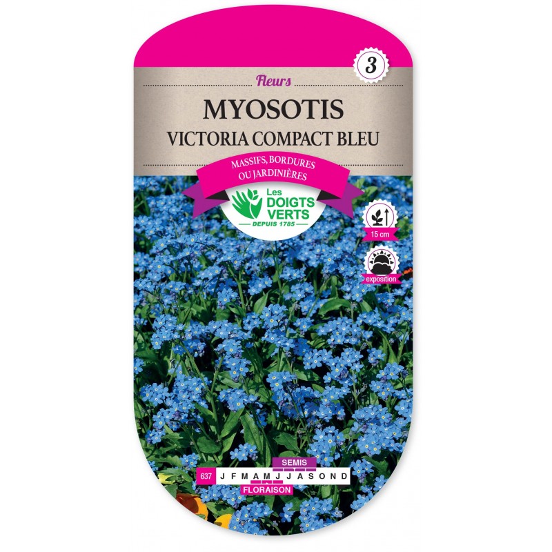 MYOSOTIS VICTORIA COMPACT BLEU CAT3