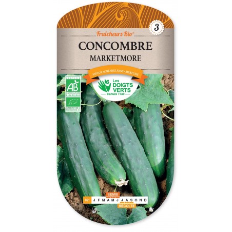 CONCOMBRE MARKETMORE cat3