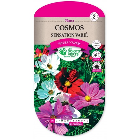 COSMOS SENSATION VARIE cat2 COSMOS SENSATION VARIE cat2