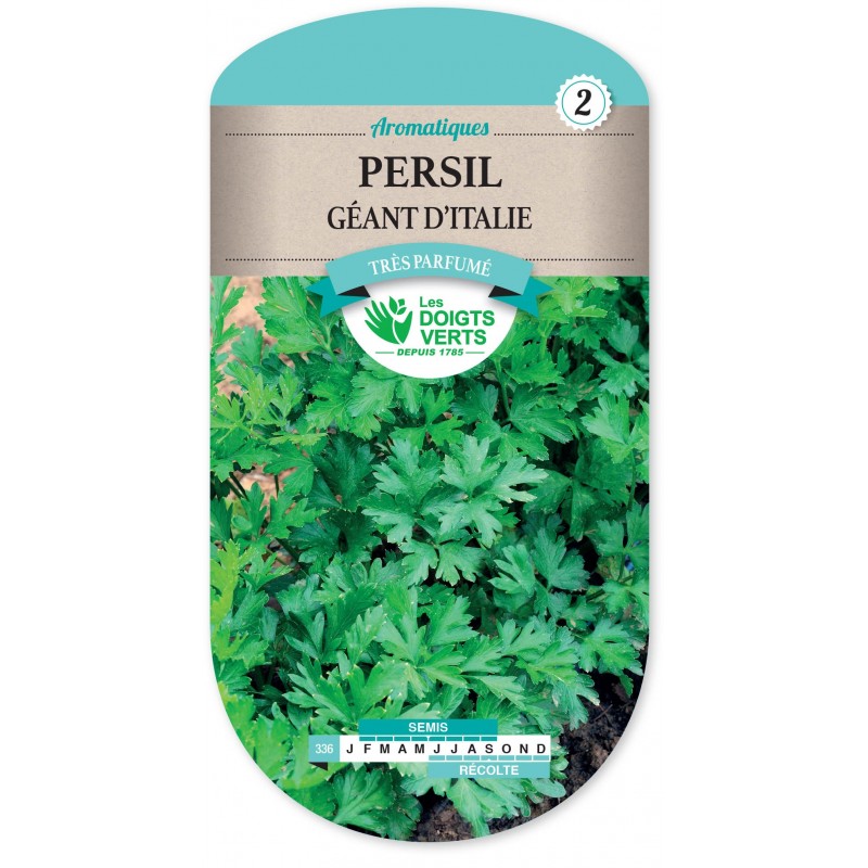 PERSIL GEANT D ITALIE cat2