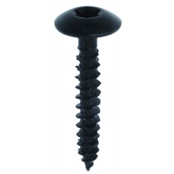 VIS PENTURE ACIER NOIR 7X60...