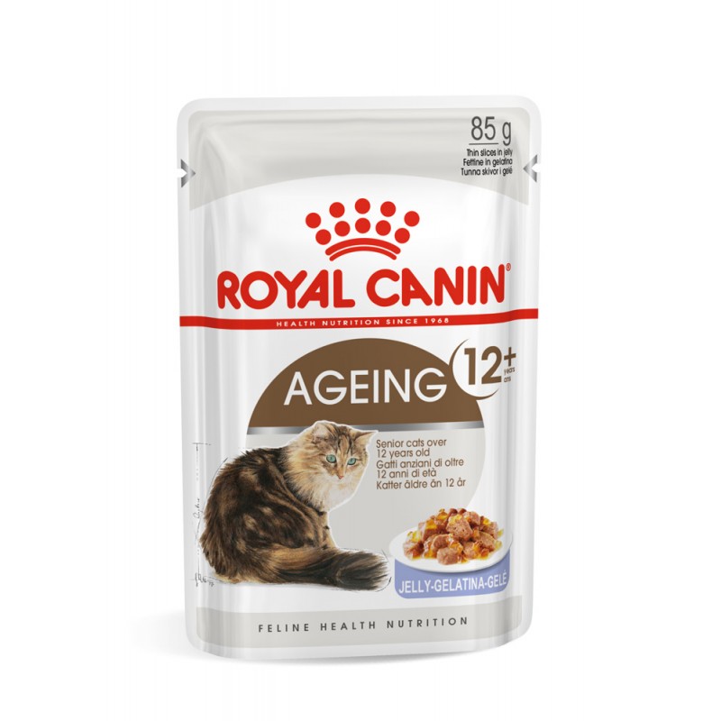 ROYAL CANIN Chaton Nourriture humide Chat 12 x 85 g Pâté / Terrine