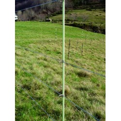 LOT DE 25 ISOLATEURS MASTER...