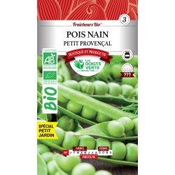 POIS NAIN PETIT PROVENCAL...