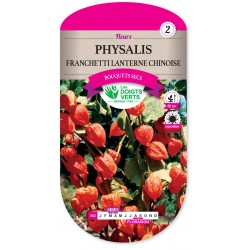 PHYSALIS FRANCHETTI...