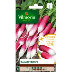 RADIS DE 18 JOURS - VILMORIN