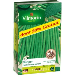 HARICOT NAIN SANS FIL...