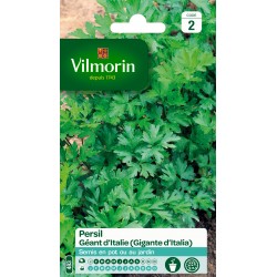 PERSIL GÉANT D'ITALIE -...