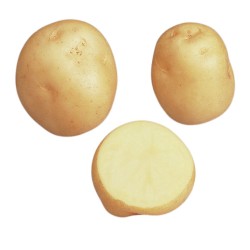 SAC 5 KG POMME DE TERRE...