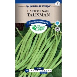 HARICOTS NAINS TALISMAN...