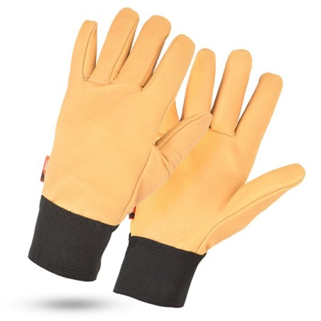 Gants de protection anti-froid & anti-coupures pour travail en milieu froid  - Niveau C