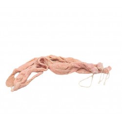 BOYAUX ROSETTES PORC...
