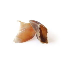 SABOTS DE VEAU - BUBIMEX